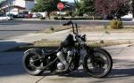 VT 600 Blackbob